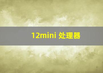 12mini 处理器